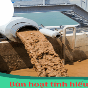 Bùn hoạt tính hiếu khí
