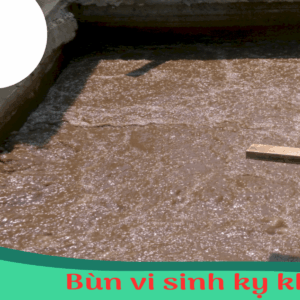 Bùn vi sinh kỵ khí